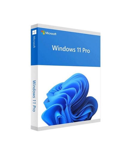 Phần mềm Win Pro 11 64-bit All Lng PK Lic Online DwnLd NR